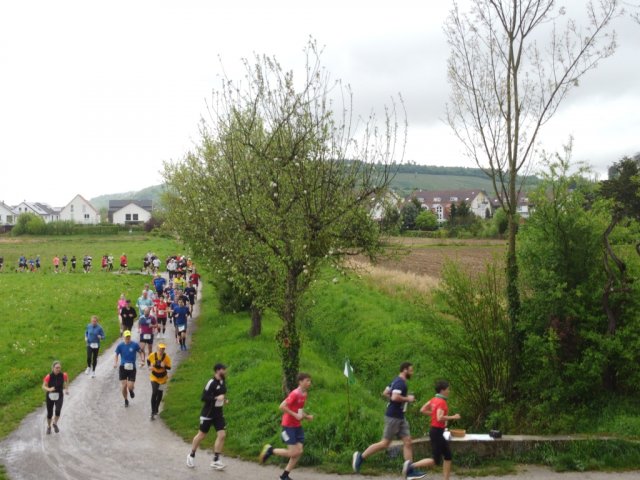 0035-2026-04-19-10-03-26-dji_0183