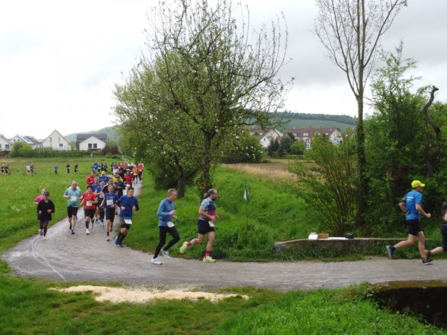 0037-2026-04-19-10-03-30-dji_0185