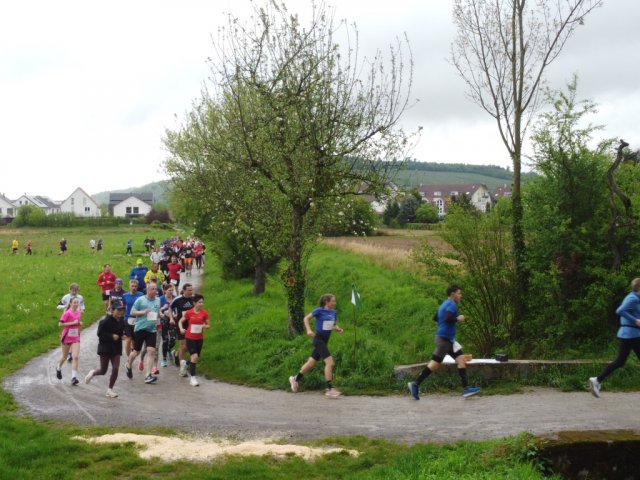 0038-2026-04-19-10-03-32-dji_0186