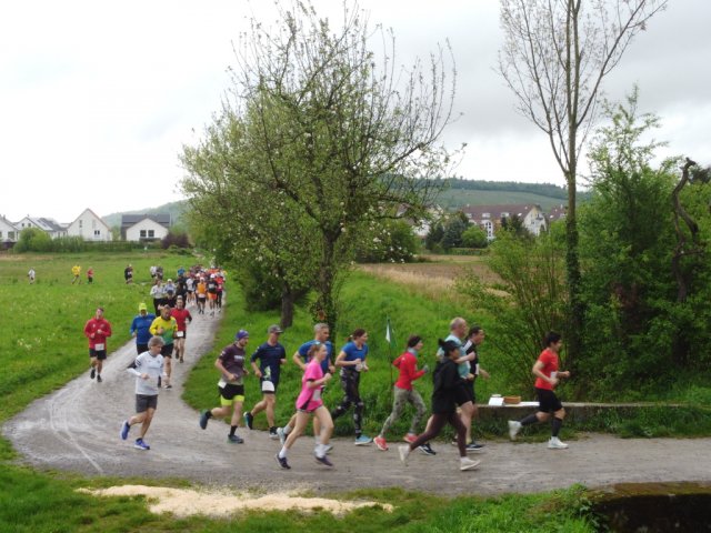 0039-2026-04-19-10-03-34-dji_0187