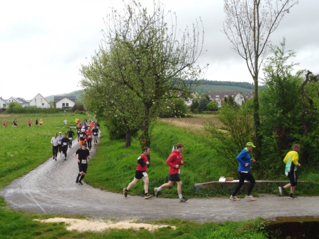 0041-2026-04-19-10-03-38-dji_0189