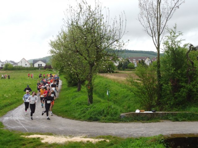 0043-2026-04-19-10-03-42-dji_0191