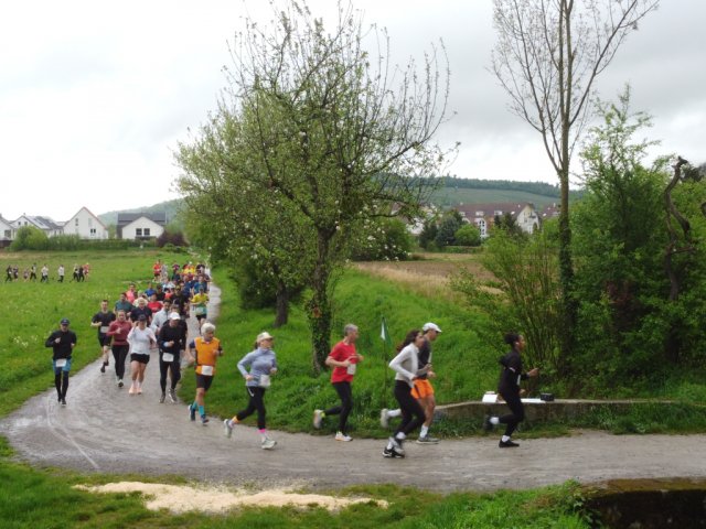 0044-2026-04-19-10-03-44-dji_0192