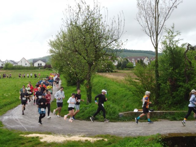 0045-2026-04-19-10-03-46-dji_0193