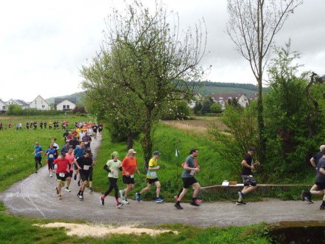 0047-2026-04-19-10-03-50-dji_0195