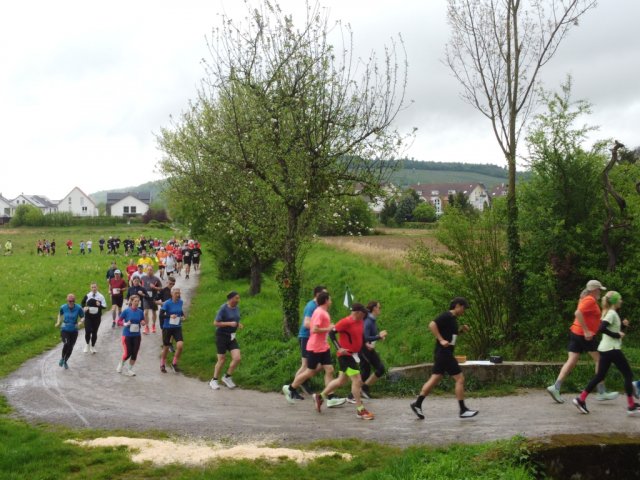 0048-2026-04-19-10-03-52-dji_0196