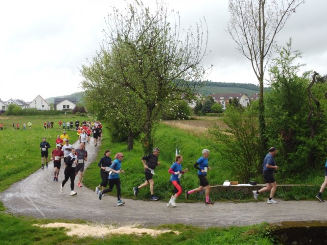 0049-2026-04-19-10-03-54-dji_0197