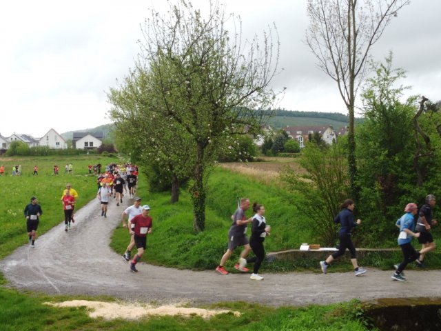 0050-2026-04-19-10-03-56-dji_0198