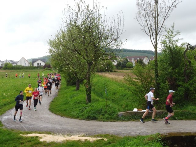 0051-2026-04-19-10-03-58-dji_0199