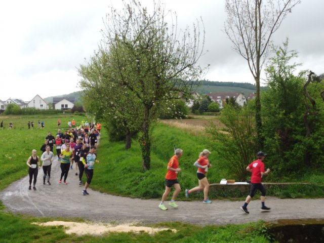 0057-2026-04-19-10-04-10-dji_0205