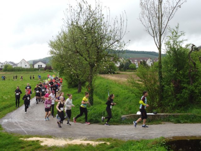 0058-2026-04-19-10-04-12-dji_0206