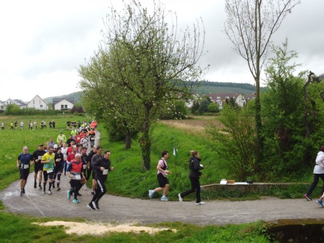 0060-2026-04-19-10-04-16-dji_0208