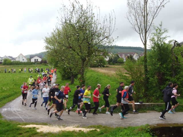 0061-2026-04-19-10-04-18-dji_0209