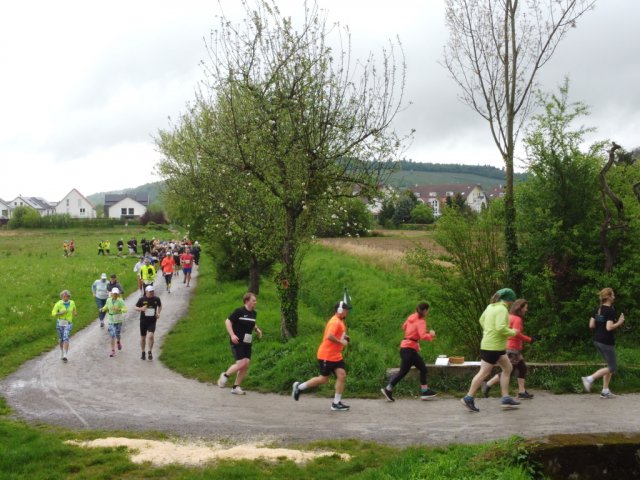 0065-2026-04-19-10-04-26-dji_0213