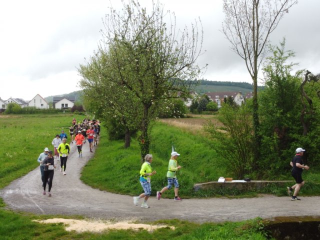 0067-2026-04-19-10-04-30-dji_0215