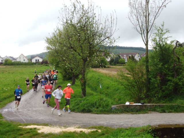 0070-2026-04-19-10-04-36-dji_0218