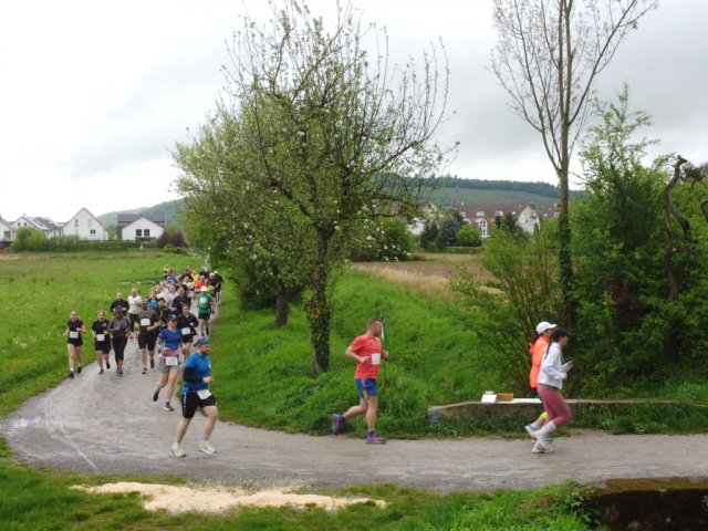 0071-2026-04-19-10-04-38-dji_0219