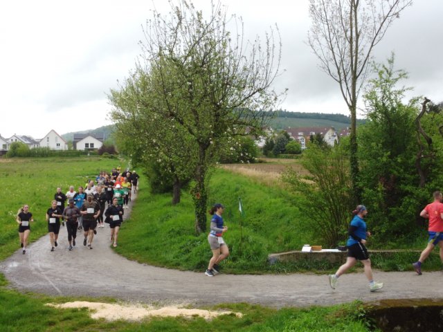 0072-2026-04-19-10-04-40-dji_0220