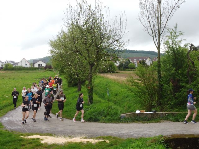 0073-2026-04-19-10-04-42-dji_0221