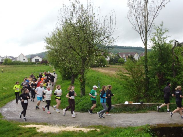 0075-2026-04-19-10-04-46-dji_0223