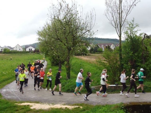 0076-2026-04-19-10-04-48-dji_0224