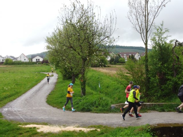 0081-2026-04-19-10-04-58-dji_0229