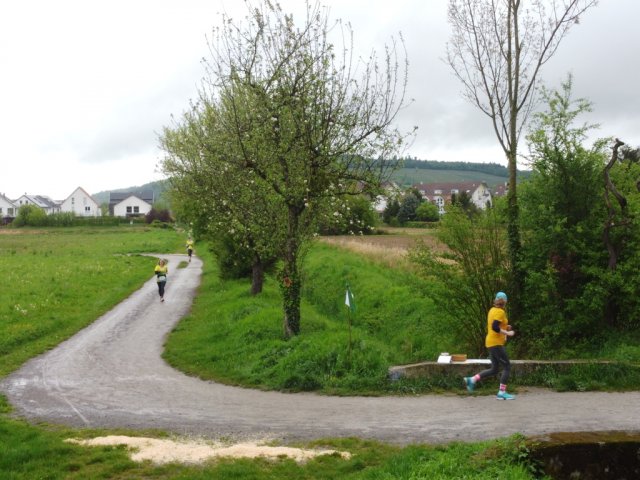 0082-2026-04-19-10-05-00-dji_0230