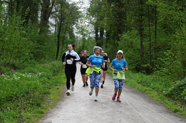 0300-2026-04-19-10-26-14-dsc_2429