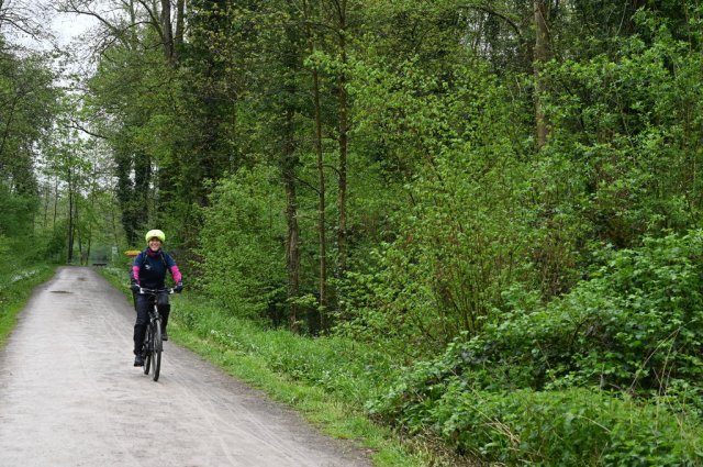 0336-2026-04-19-10-41-17-dsc_2467