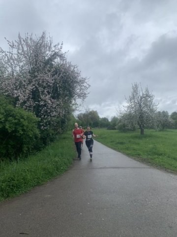 0015-2026-04-19-10-30-09-img_7653