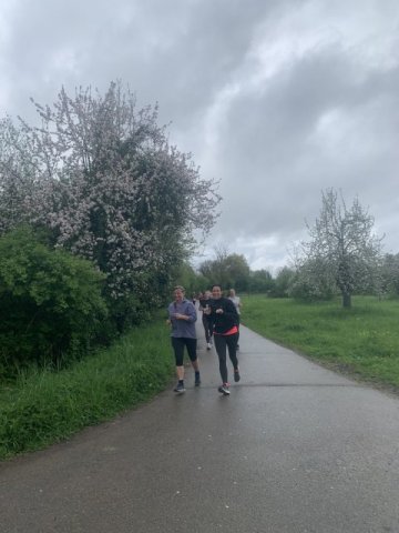 0017-2026-04-19-10-31-24-img_7655