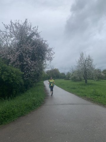 0025-2026-04-19-10-40-31-img_7663