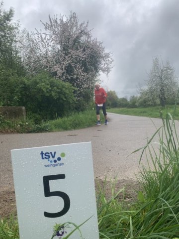 0026-2026-04-19-10-44-39-img_7664