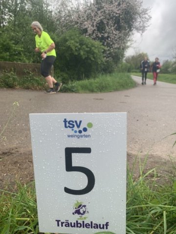 0028-2026-04-19-10-45-13-img_7666