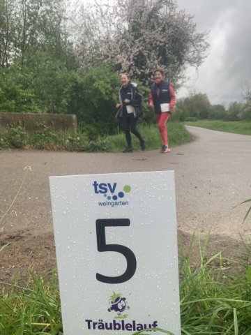 0029-2026-04-19-10-45-17-img_7667